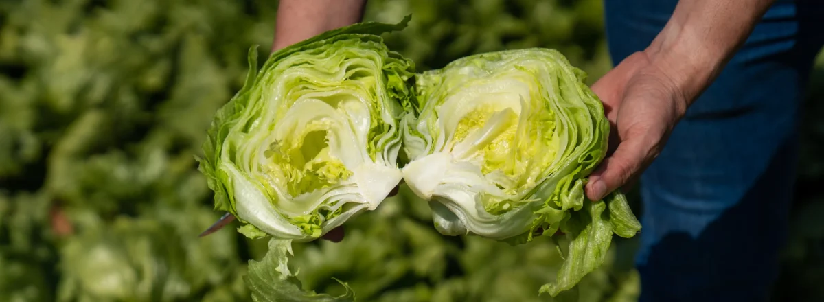 SESION-FOTOS-SABAS-57-scaled SESION-FOTOS-SABAS-57-scaled