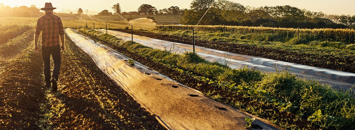 bg-agricultor bg-agricultor