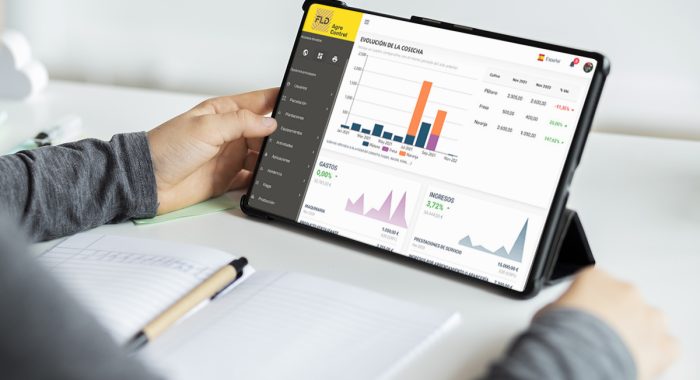 phocus fld phocus fld